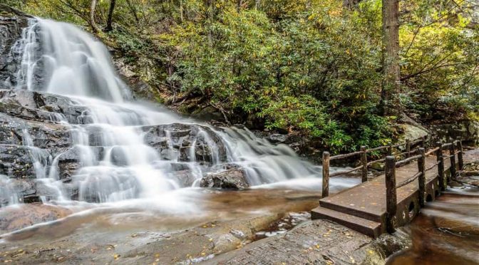 Best Smoky Mountain Trails for Families to Hike…
